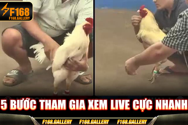5 bước tham gia xem live cực nhanh