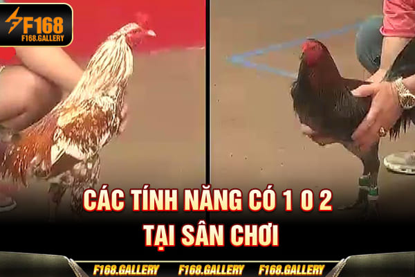 Các tính năng có 1 0 2 tại sân chơi