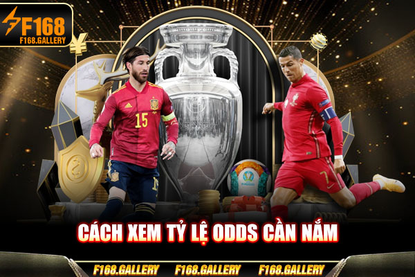 Cách xem tỷ lệ odds cần nắm