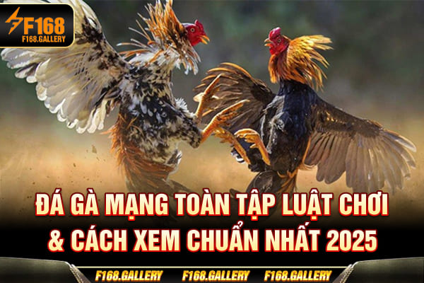 Đá Gà Mạng | Toàn Tập Luật Chơi & Cách Xem Chuẩn Nhất 2025