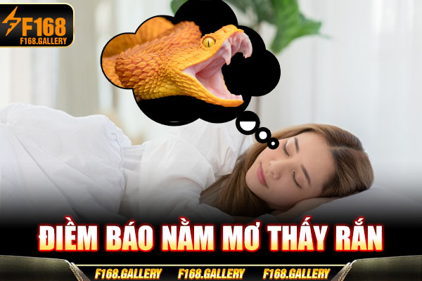 Điềm báo nằm mơ thấy rắn Điềm báo nằm mơ thấy rắn