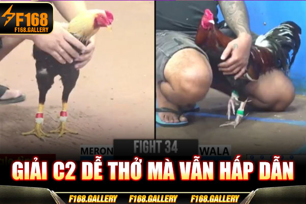 Giải C2 dễ thở mà vẫn hấp dẫn