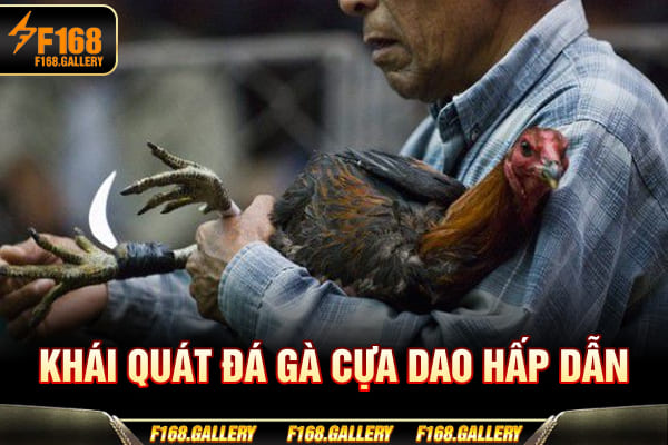 Khái quát đá gà cựa dao hấp dẫn