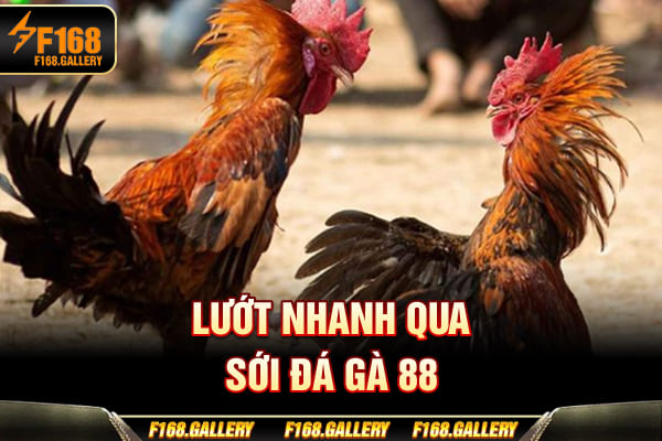 Lướt nhanh qua sới Đá Gà 88
