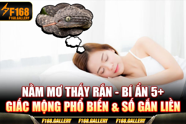 Nằm Mơ Thấy Rắn | Bí Ẩn 5+ Giấc Mộng Phổ Biến & Số Gắn Liền