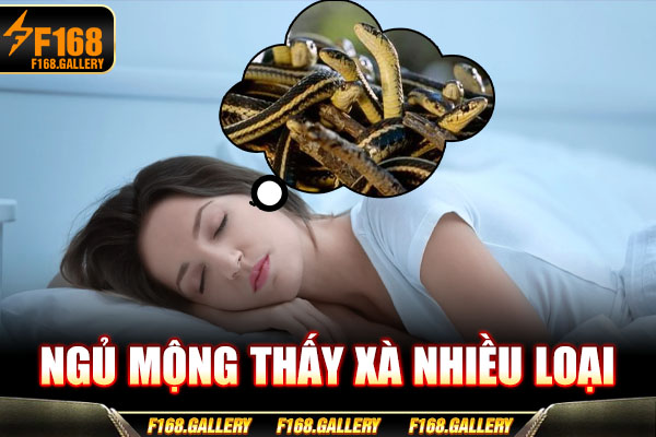 Ngủ mộng thấy xà nhiều loại Ngủ mộng thấy xà nhiều loại