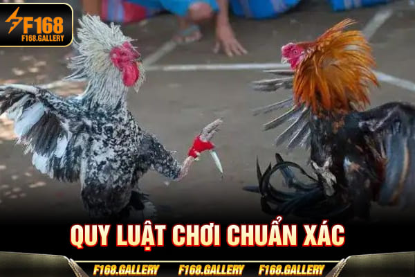 Quy luật chơi chuẩn xác