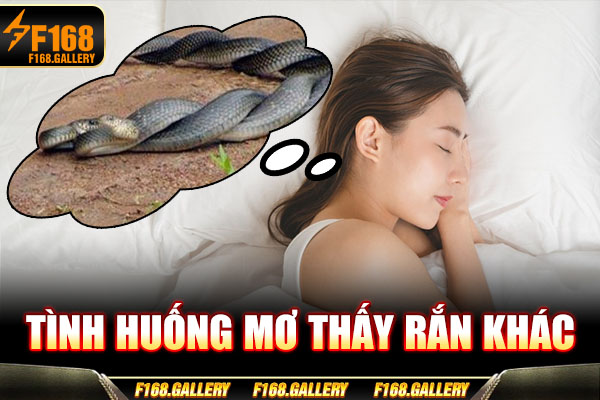 Tình huống mơ thấy rắn khác Tình huống mơ thấy rắn khác