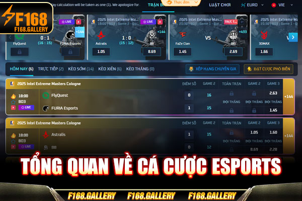 Tổng quan về cá cược esports Tổng quan về cá cược esports