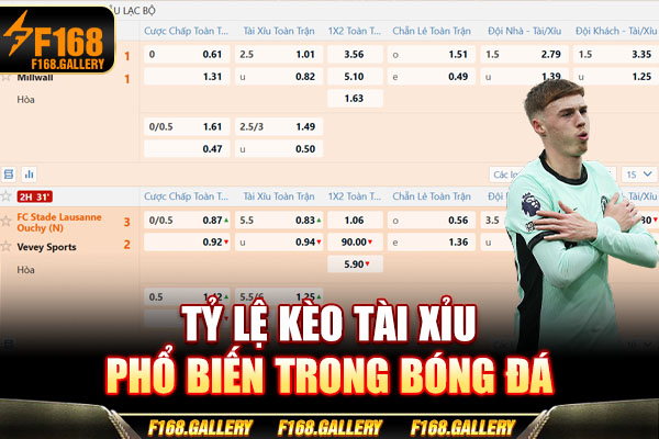 Tỷ lệ kèo tài xỉu phổ biến trong bóng đá